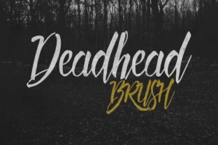 Deadhead Brush: A Handwritten Script Font with Authentic Texture